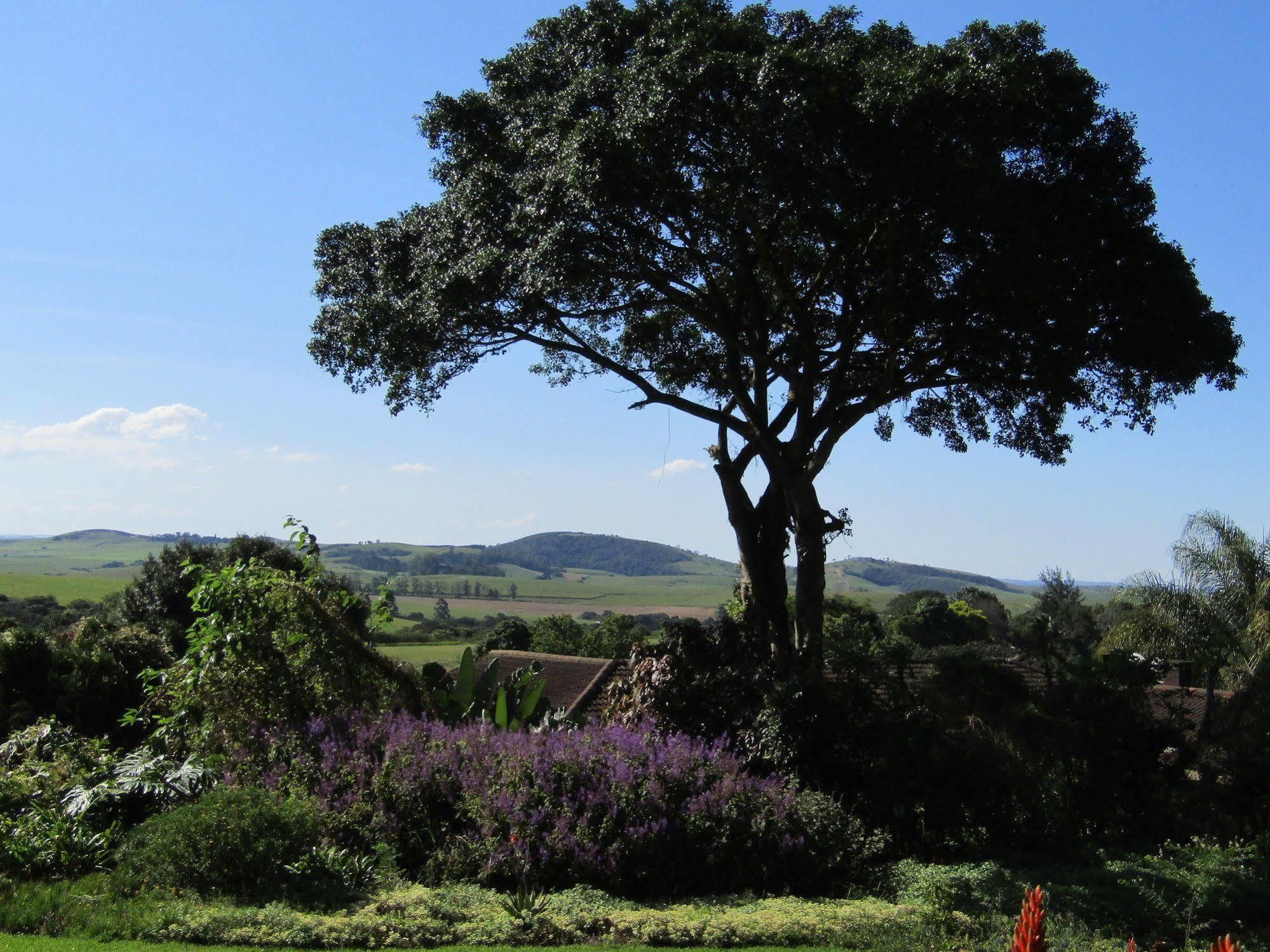 Hotel Sugar Hill Manor Eshowe Exterior foto
